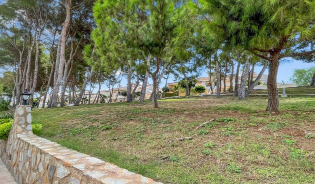 Brukt - Apartment -
Mil Palmeras - Costa Blanca