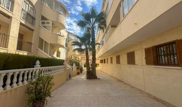 Brukt - Apartment -
La Zenia - Costa Blanca
