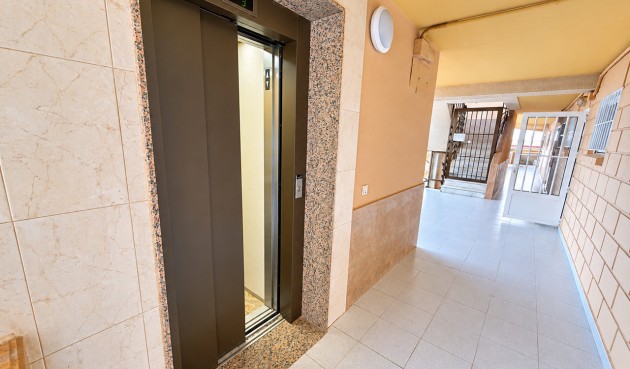 Reventa - Apartment -
Torrevieja - Costa Blanca