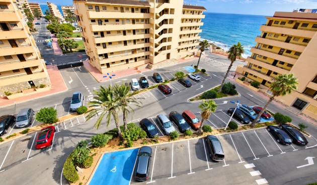 Reventa - Apartment -
Torrevieja - Costa Blanca