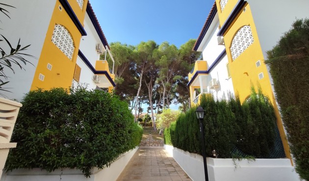 Brukt - Apartment -
Mil Palmeras - Costa Blanca