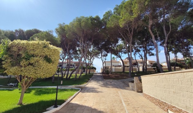 Brukt - Apartment -
Mil Palmeras - Costa Blanca