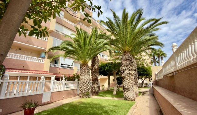 Återförsäljning - Apartment -
Guardamar del Segura - Urbanizaciones