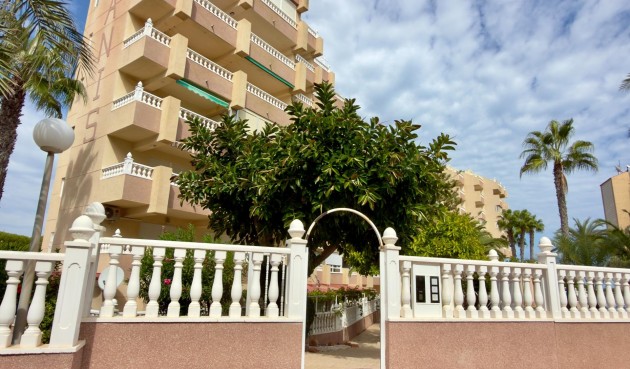 Återförsäljning - Apartment -
Guardamar del Segura - Urbanizaciones