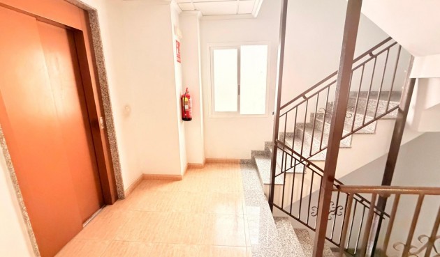 Återförsäljning - Apartment -
Torrevieja - Centro - Muelle Pesquero