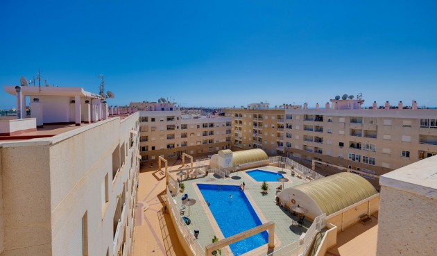 Reventa - Apartment -
Torrevieja - Centro