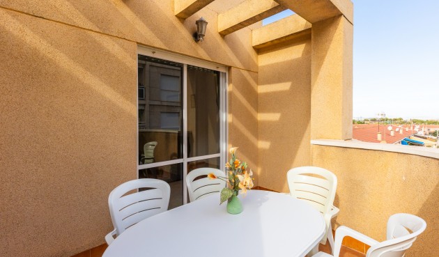 Resale - Apartment -
Torrevieja - Costa Blanca