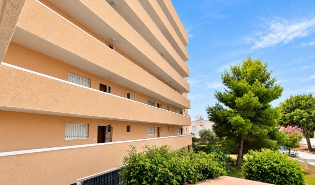 Resale - Apartment -
La Zenia - Costa Blanca