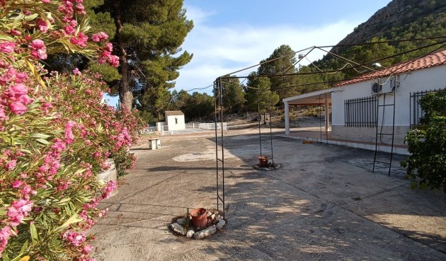 Resale - Villa -
Yecla - Inland