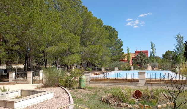 Resale - Villa -
Yecla - Inland