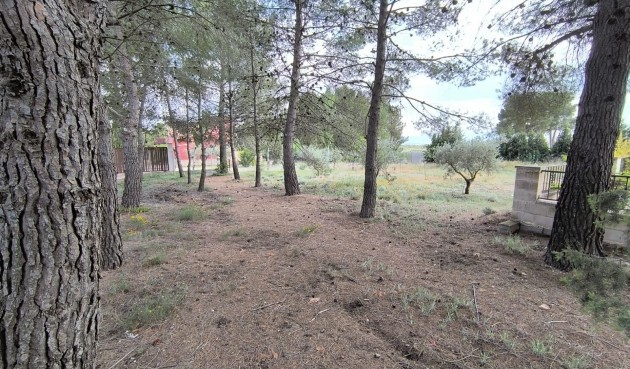 Resale - Villa -
Yecla - Inland