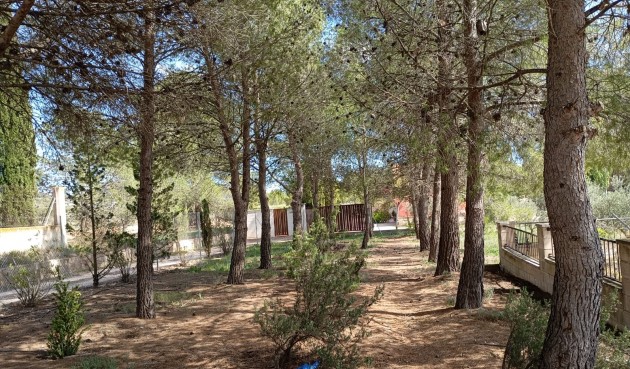 Resale - Villa -
Yecla - Inland