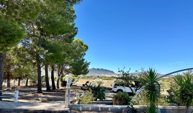 Brukt - Villa -
Yecla - Inland