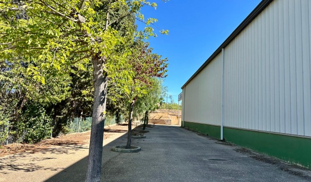 Brukt - Villa -
Yecla - Inland