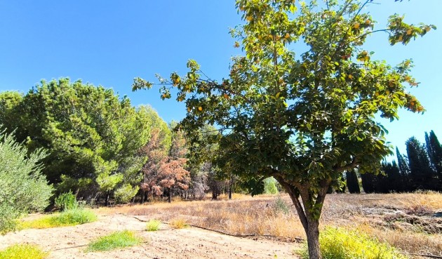 Resale - Villa -
Yecla - Inland