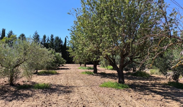 Resale - Villa -
Yecla - Inland