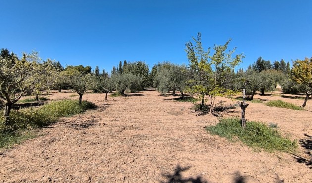 Resale - Villa -
Yecla - Inland