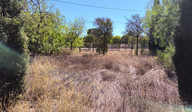 Resale - Villa -
Yecla - Inland