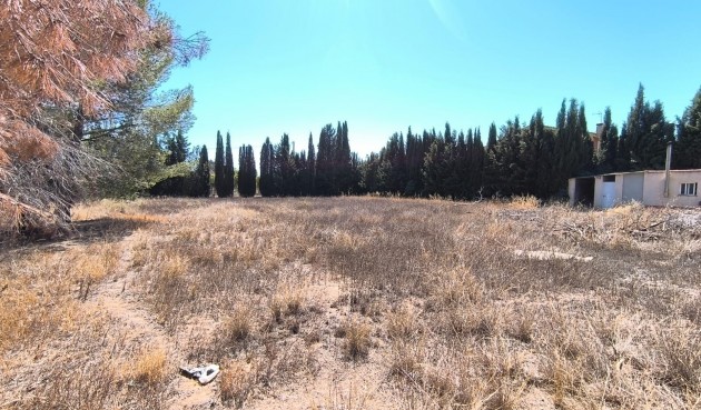 Resale - Villa -
Yecla - Inland