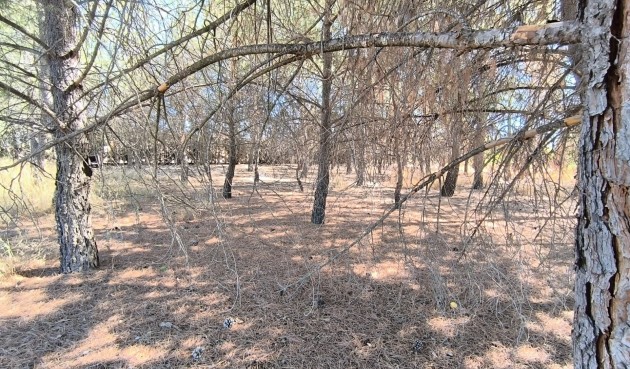 Resale - Villa -
Yecla - Inland