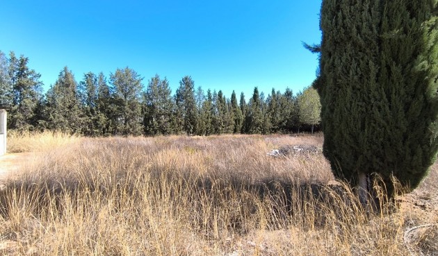 Resale - Villa -
Yecla - Inland