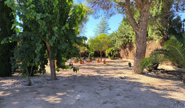 Resale - Villa -
Yecla - Inland