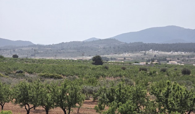 Brukt - Villa -
Pinoso - Inland