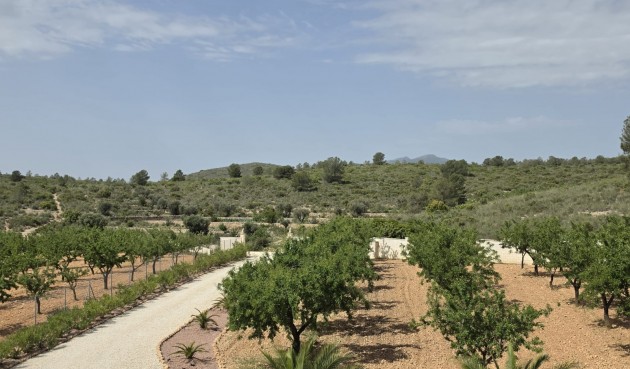 Brukt - Villa -
Pinoso - Inland