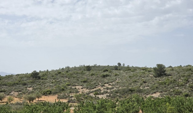 Brukt - Villa -
Pinoso - Inland