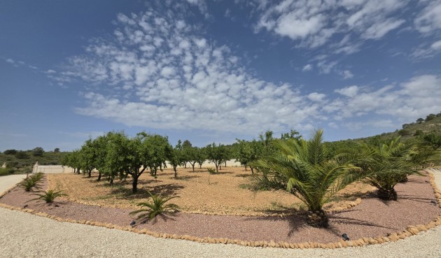 Brukt - Villa -
Pinoso - Inland