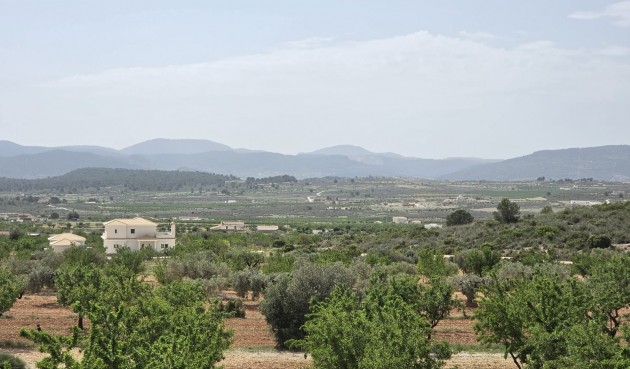 Brukt - Villa -
Pinoso - Inland