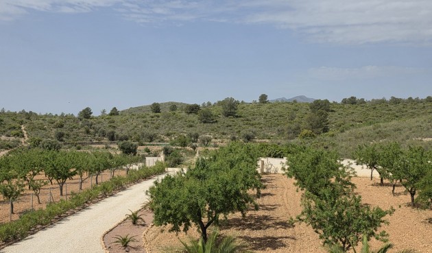 Brukt - Villa -
Pinoso - Inland