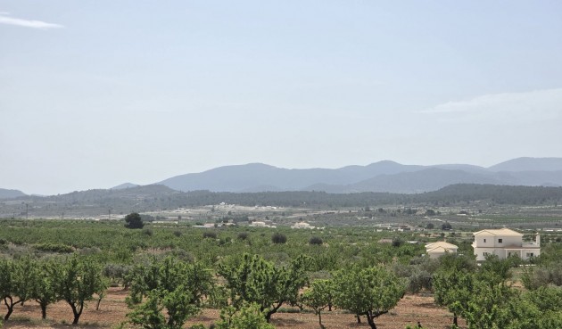 Brukt - Villa -
Pinoso - Inland