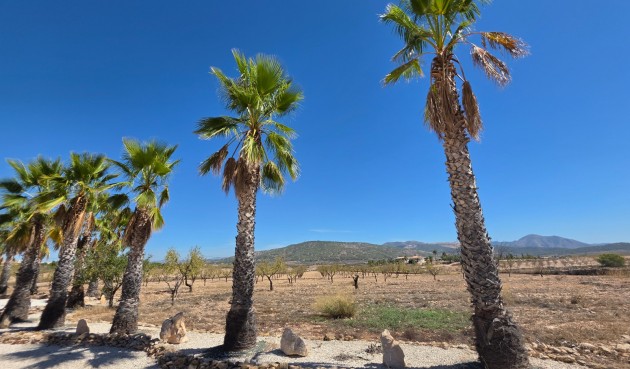 Resale - Villa -
Pinoso - Inland
