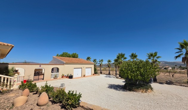 Resale - Villa -
Pinoso - Inland