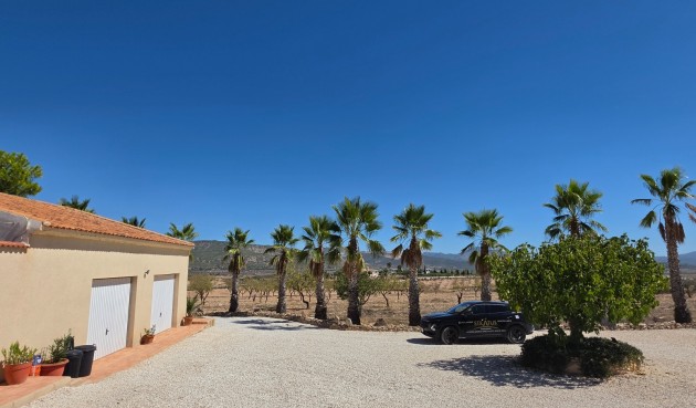 Resale - Villa -
Pinoso - Inland