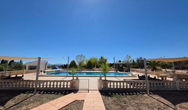 Resale - Villa -
Pinoso - Inland