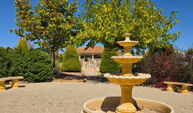 Resale - Villa -
Pinoso - Inland