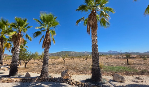 Resale - Villa -
Pinoso - Inland
