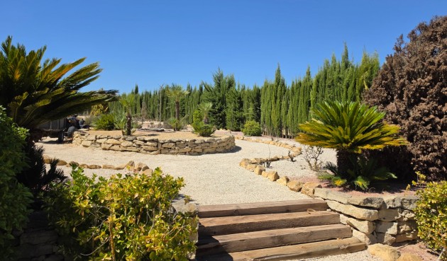 Resale - Villa -
Pinoso - Inland