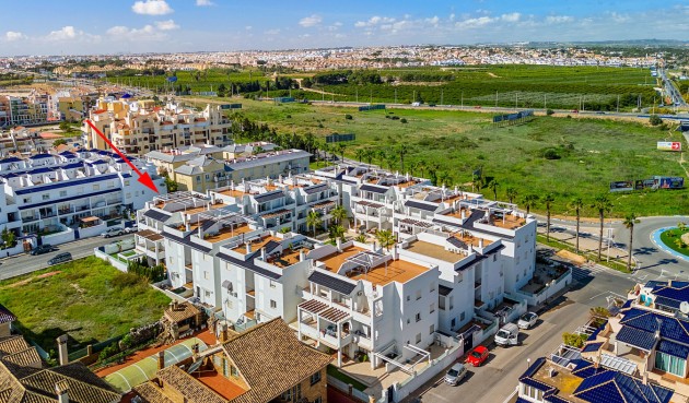 Resale - Apartment -
Torrevieja - Costa Blanca