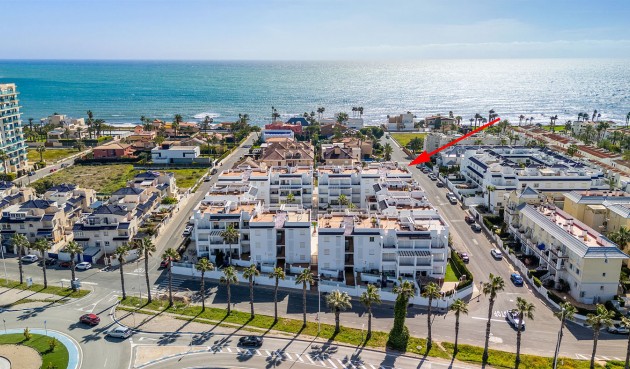 Resale - Apartment -
Torrevieja - Costa Blanca