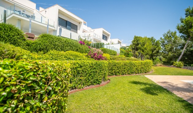 Resale - Apartment -
Pilar de la Horadada - Costa Blanca