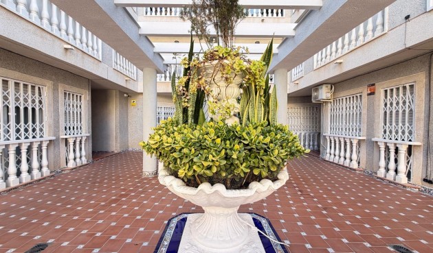 Resale - Apartment -
Torrevieja - Playa de los Locos