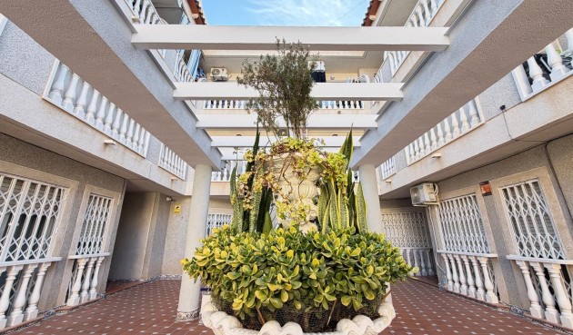 Resale - Apartment -
Torrevieja - Playa de los Locos