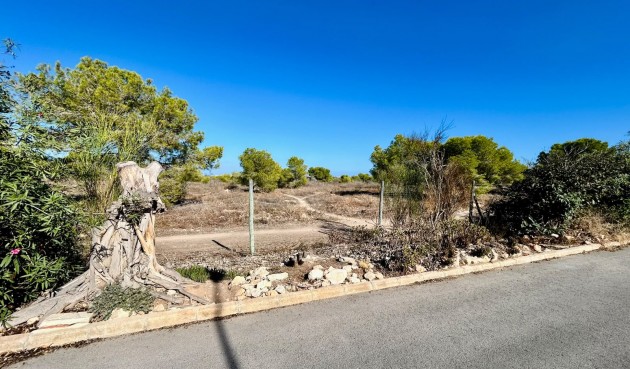 Resale - Town House -
Torrevieja - Costa Blanca