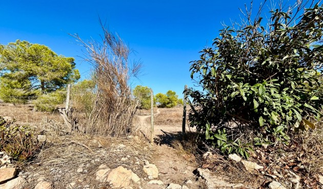Resale - Town House -
Torrevieja - Costa Blanca