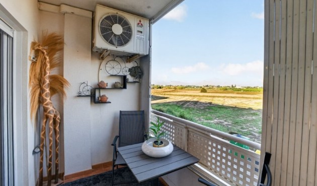Brukt - Apartment -
Almoradí - Costa Blanca