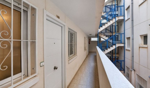 Brukt - Apartment -
Almoradí - Costa Blanca