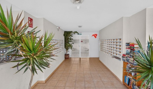 Brukt - Apartment -
Almoradí - Costa Blanca